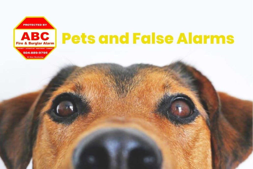 Pets and False Alarms 1