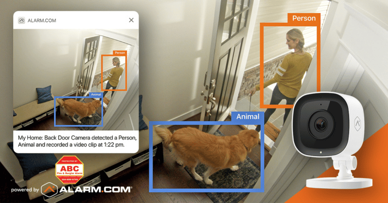 woman and dog seen by the 1080p wifi indoor camera