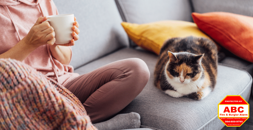 woman sitting down with her cat enjoying her smart home system